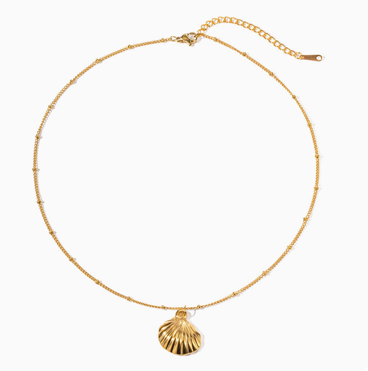 Shell Necklace