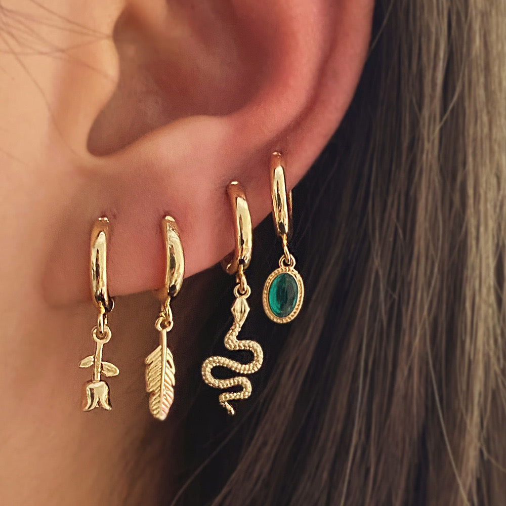 Earrings